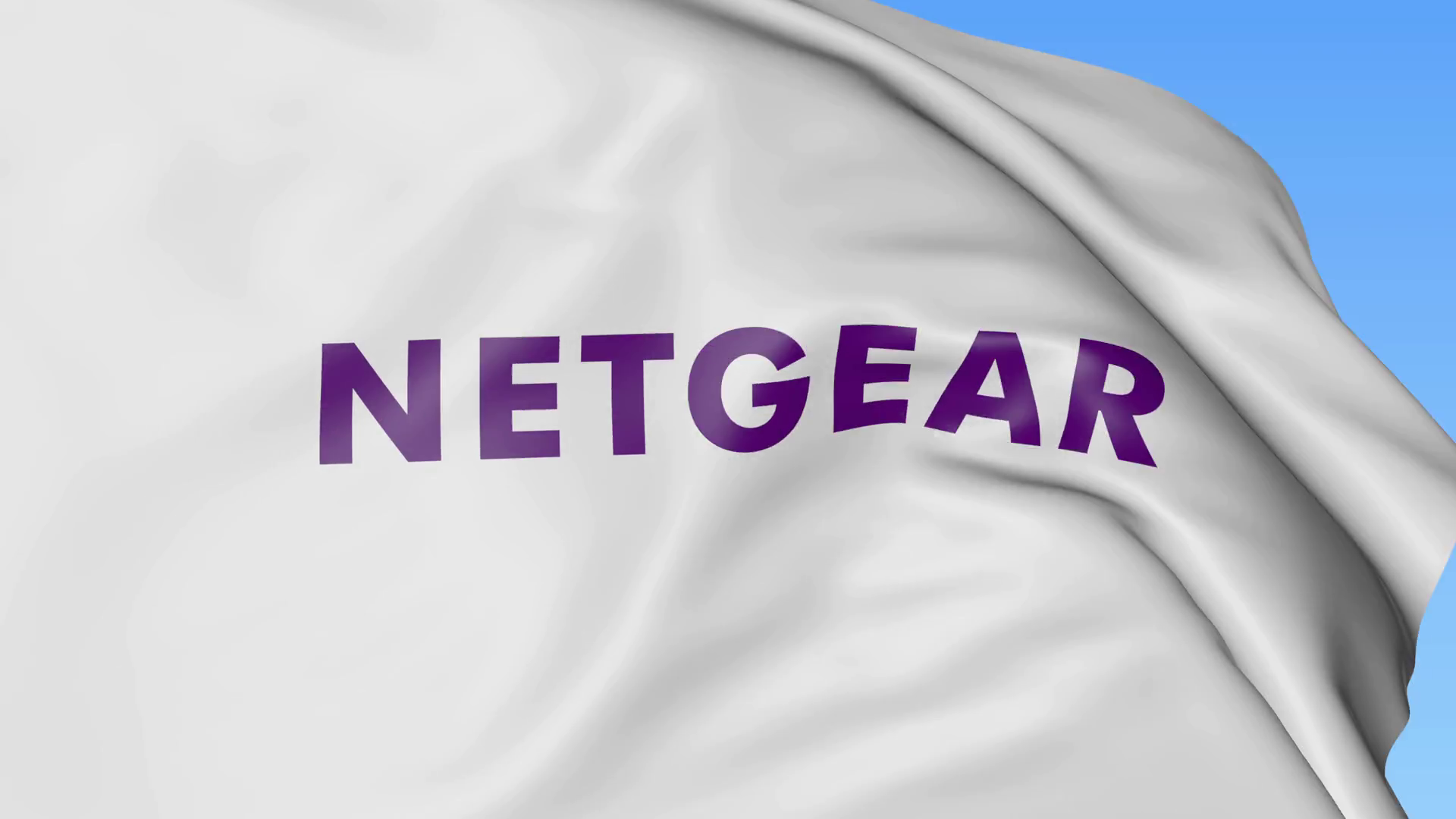 Netgear Logo